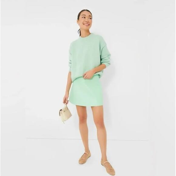 NWT Tuckernuck	Mint Chip Faux Leather Meg Mini Preppy Retro Colorful Skirt Small - Picture 1 of 9